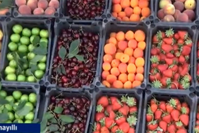 İsmayıllı: alıcılar yol kanarlarındakı meyvələri bəyənirlər