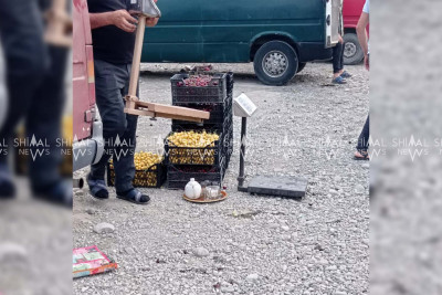 Xaçmazda meyvə bazarı insanları bir araya toplayır