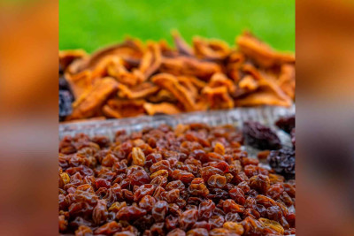 İsmayıllıda qadın fermerə dəstək göstərilib