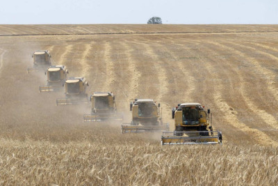 Kənd təsərrüfatı naziri İsmayıllıya gəlib
