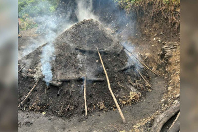İsmayıllıda 5 nəfər qanunsuz kömür istehsalı ilə məşğul olub