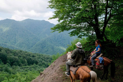 İsmayıllı: zubrların monitorinqi keçirilib