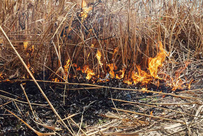 İsmayıllı: Diyallı kəndində yanğın baş verib