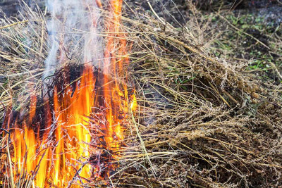 İsmayıllıda yanğın qeydə alınıb