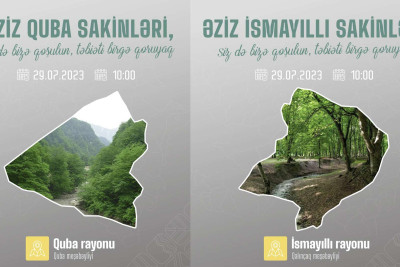 Quba və İsmayıllı meşələrində iməcilik keçiriləcək