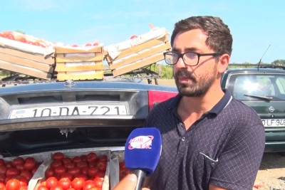 Xaçmazda pomidoru 5 manata alıb 2 qatına satırlar
