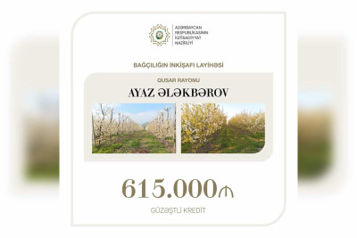 Qusarda bağçılığa 615 min manat ayrılıb