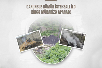 Qanunsuz kömür istehsal edən İsmayıllı sakinləri cəzalandırılıblar