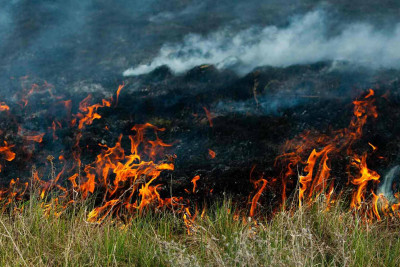 İsmayıllı: Bizlana yaxın ərazidə yanğın baş verib