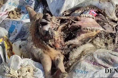 Quba: Dəvədabanıda antisanitar vəziyyət sakinləri narahat edir