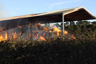 İsmayıllı: talvarı alov bürüyüb