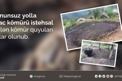 Quba sakini qanunsuz ağac kömürü istehsal edib