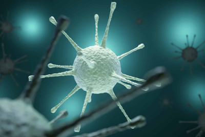 Qubada virus yayıldığı iddia edilib
