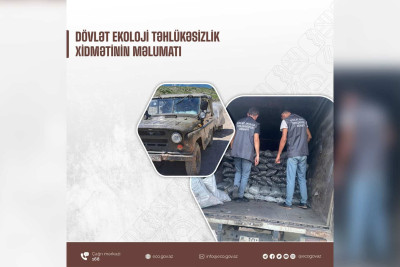 İsmayıllı: 250 kisə ağac kömürü saxlanılıb