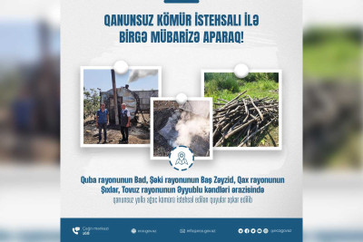 Quba: qanunsuz kömür istehsal edən şəxs cəzalandırılıb