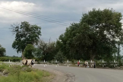 “Gülüstani-İrəm” əsərində qeyd olunan Xaçmazın qədim Çarxı kəndi