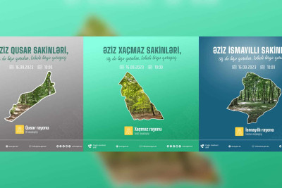 Şimal: meşəbəyliklərdə “Təmiz ölkəm” aksiyası davam edir