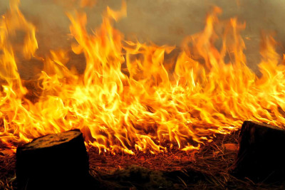 Xaçmaz: Qaradağlıda yanğın baş verib