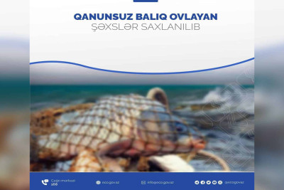 İsmayıllıda qanunsuz balıq ovlayan şəxs cəzalandırılıb