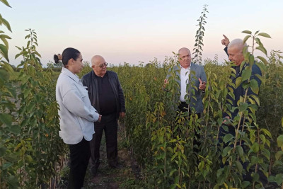 Xaçmazın 1 təsərrüfatı yarım milyon ting verə bilir