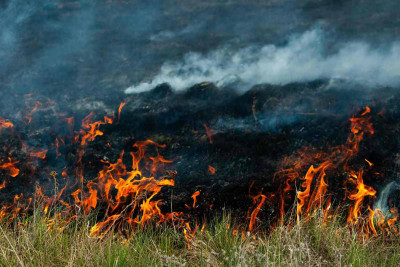 Xaçmazda yanğın olub: xəsarət alan var