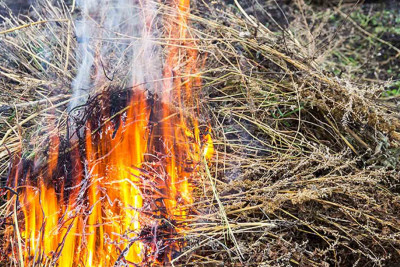 Xaçmazda ot bağlaması yanıb