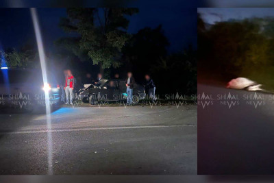 Qəza: Qusarda at avtomobilin qarşısına çıxıb