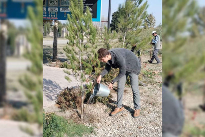 Xaçmaz: şəhidlərin xatirəsinə ağaclar əkilib