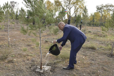 Xaçmaz: Bəyqışlaq kəndində 100-dən çox ağac əkilib