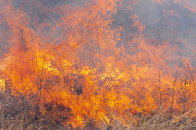 FHN:  Yalama kəndində yanğın baş verib