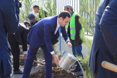 İsmayıllıda 1200 ədəd ağac əkilib