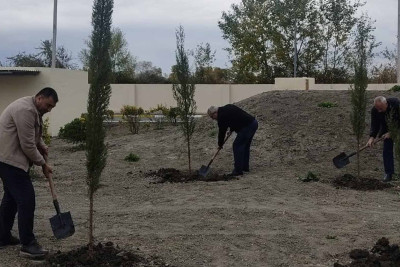 FHN: Xudatda ağacəkmə aksiyası təşkil edilib