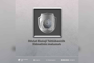 ETSN: Quba-Qəçrəş yolunda ağaclar kökündən çıxarılıb