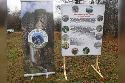 İsmayıllı: milli parkda tədbir baş tutub