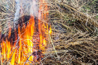 FHN: İsmayıllıda yanğın qeydə alınıb