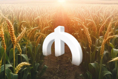 Şimal: fermerlərə sığorta ödənilir