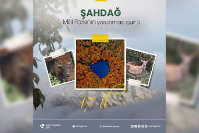 Bu gün Şahdağ Milli Parkının yaradılmasından 17 il keçir