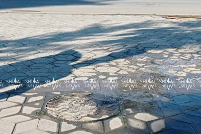 Xaçmaz: Fəvvarələr parkının yanında antisanitar vəziyyət müşahidə edilir