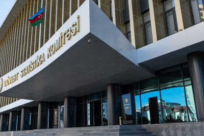 İsmayıllıda payızlıq bitkilərin əkin sahəsi 21 hektardan çox olacaq