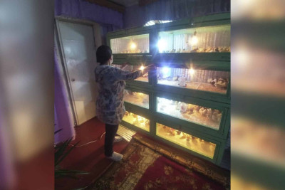 Qusar Qadın Resurs Mərkəzinin üzvü şəxsi biznesə sahib olub