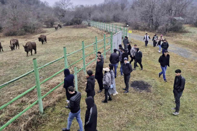 İsmayıllı: tələbələr milli parkında olublar