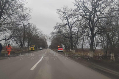 Quba-Xaçmaz yolu: yol ayırıcı xətlər rənglənir