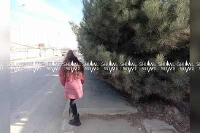 Quba: budanmamış ağaclar piyadaları təhlükəyə atır