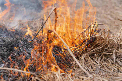 FHN: İsmayıllıda yanğın qeydə alınıb