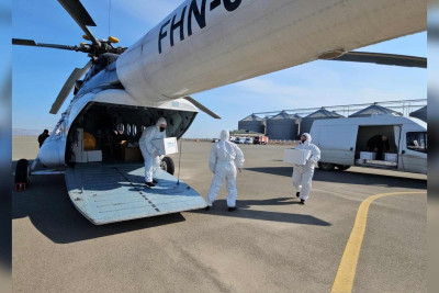 Şimal: vəhşi heyvanlar helikopterlə peyvənd olunur