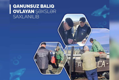 Xaçmazda qanunsuz balıq ovlayanlar cərimələniblər