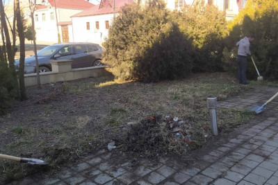 Quba: şəhər ərazisində kütləvi iməcilik keçirilir