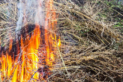 Xaçmaz: Hacıabdurəhimoba kəndində yanğın baş verib