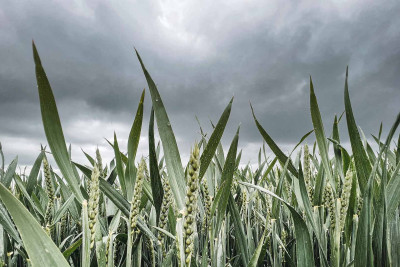 ETSN: Bu günə gözlənilən hava proqnozu açıqlanıb