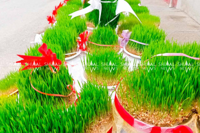 Xaçmazda ənənəvi səməni satışı təşkil edilib